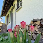 Ferienhaeusel Allemuehl * Schonbrunn (Baden-Wurttemberg)