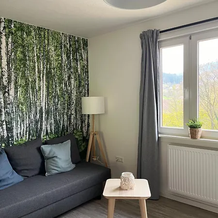 Ferienhaeusel Allemuehl Schonbrunn (Baden-Wurttemberg)